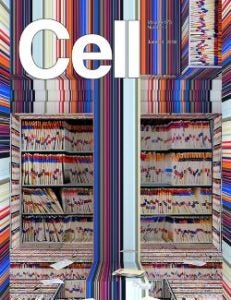 cell-2018